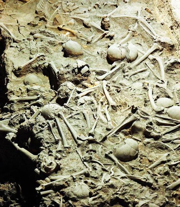 战神白起是怎么死的