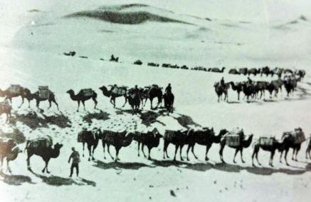 关于徐中舒的评价是怎么样的