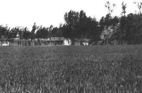 关于徐中舒的评价是怎么样的