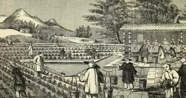 汉武帝时外战耗尽国库，后来是怎么摆脱财政危机的