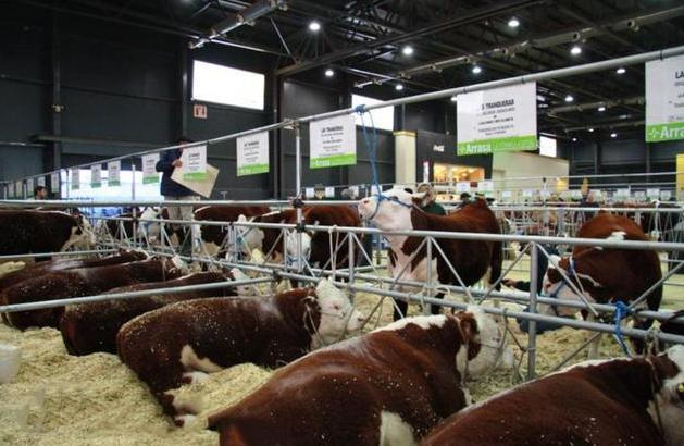 阿根廷为什么连家门口的岛屿都收不回来