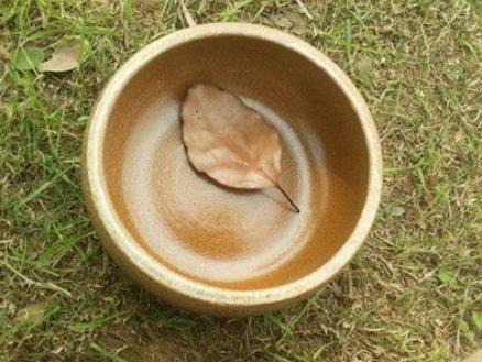 唐僧的紫金钵盂到底有什么秘密 为什么阿难和迦叶一直想要呢