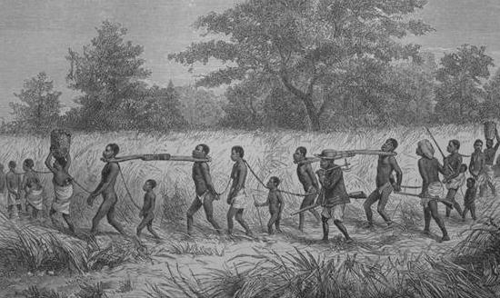 奴隶主都是怎样去挑选奴隶的