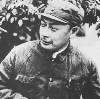 胡兰畦为什么喜欢陈毅