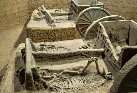 商朝时期到底有多厉害 他们是如何对抗古印欧人的