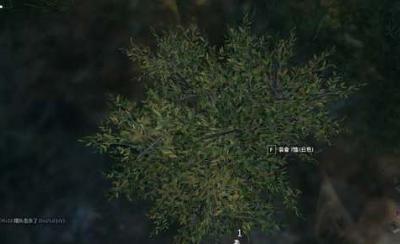 为什么说听不懂队友的江湖黑话,你就是盒子精