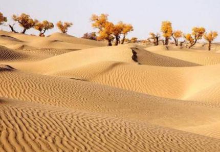 楼兰古国的人去了哪里 他们为何会突然的消失了呢