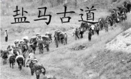 盐铁官营是怎么出现 为什么汉武帝会实施这个制度呢