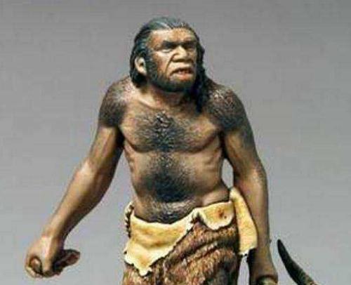 智人是怎么取代尼安德特人的