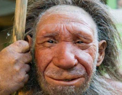 智人是怎么取代尼安德特人的