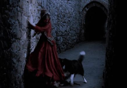 阿黛尔&middot;雨果晚年为什么会在精神病院中度过的 她生平都经历了什么事情