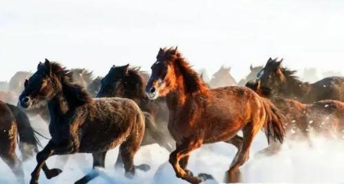 朱元璋建立的卫所制度是怎么衰败的