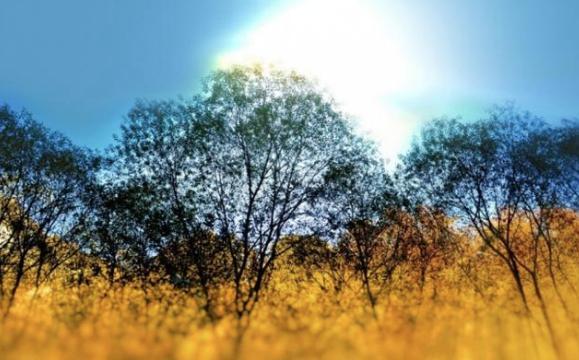 父系氏族社会是如何生活的