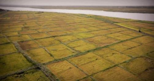 为什么说王莽是穿越者