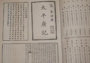 太平广记&middot;卷七十五&middot;道术&middot;张辞原文是什么内容？如何翻译？</span>
                      