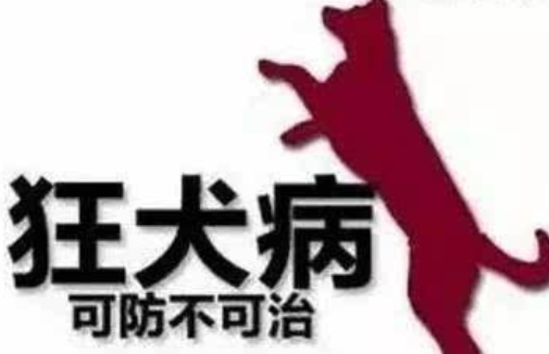 揭秘:古人如果被狗咬了怎么办?</span>