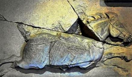 昭陵六骏中，为什么这匹马排首位