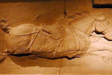 昭陵六骏中，为什么这匹马排首位