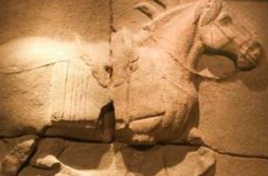 遭到美国疯抢的昭陵六骏，现在在哪里