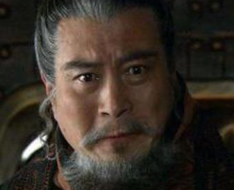 定军山之战,夏侯渊如何没有久张郃会是什么结局？</span>
                      