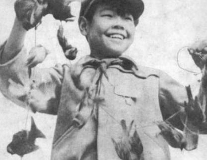 为什么当年除四害,只有麻雀差点被灭族