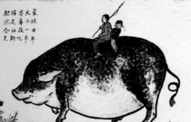 为什么当年除四害,只有麻雀差点被灭族