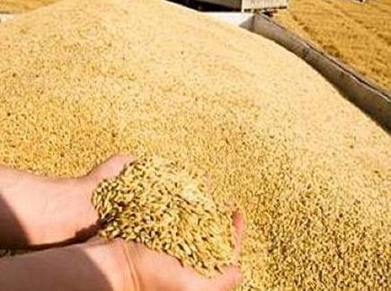 刘备和曹操为什么会颁布禁酒令 颁布禁酒令的原因是什么