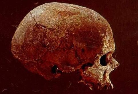 克罗马农人的生存方式是怎样的