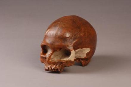 克罗马农人的生存方式是怎样的