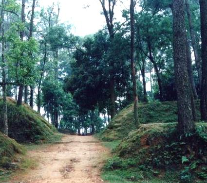 金田起义后的太平军战斗力为什么那么强悍 四万多的清军竟然不敌七千太平军