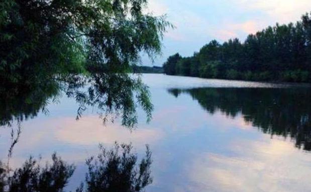 山东的简称是鲁，为什么山东东部不叫鲁东