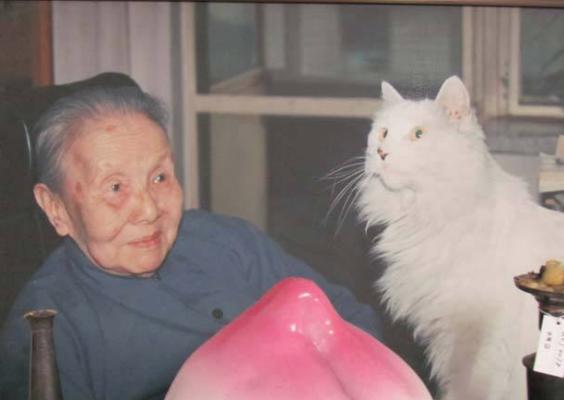 为什么冰心讨厌林徽因