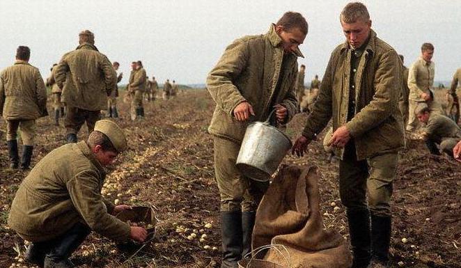 苏联地广人稀沃野千里为什么粮食却经常不够吃