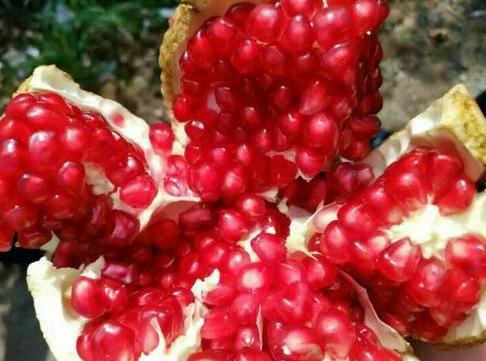 古代给满月孩子穿衣服的,为什么必须是姥姥