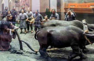 孙权晚年不信别人，为什么会信长公主孙鲁班？</span>
                      