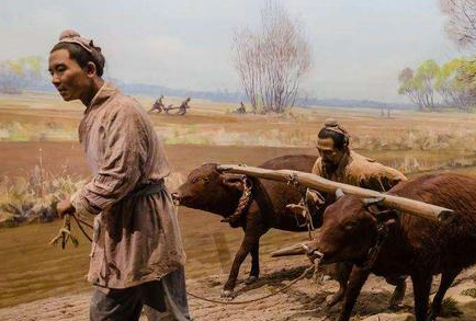 古代地广人稀 最后为什么还出现粮食问题</span>
                      