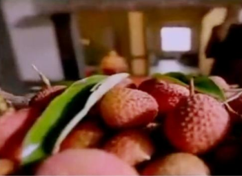 杨玉环只是喜欢吃荔枝，为什么会背上千古骂名？</span>
                      