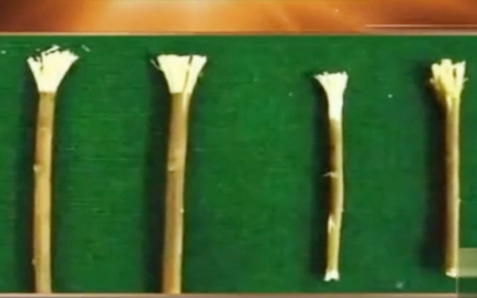 古人是如何清理口腔的？他们刷牙吗？</span>
                      