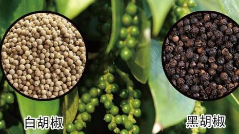 古代吃肉到底是什么样的 百姓能不能吃得起肉