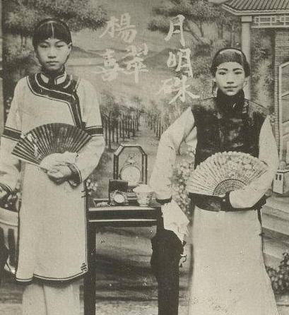 什么是杨翠喜案