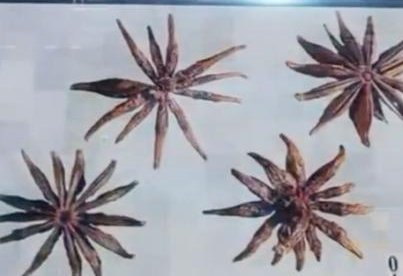 古代夏天来临之际 古人会用什么东西防蚊驱蚊