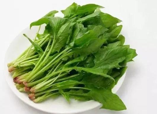 唐朝“西餐”食谱都有哪些东西