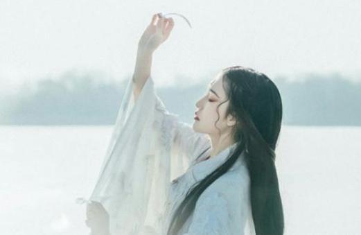 范雎当上相国后，都做了些什么事