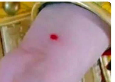 在古代守宫砂有什么作用