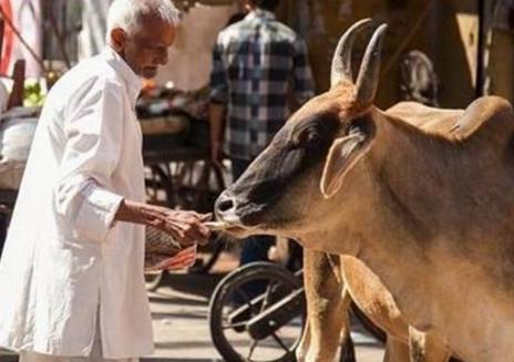 英国人百般压迫印度人都没起义，直到他们用牛脂和猪油涂抹子弹