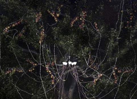 空想社会主义和乌托邦有什么联系