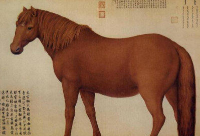 汉武帝劳师远征大宛,只是为了汗血宝马