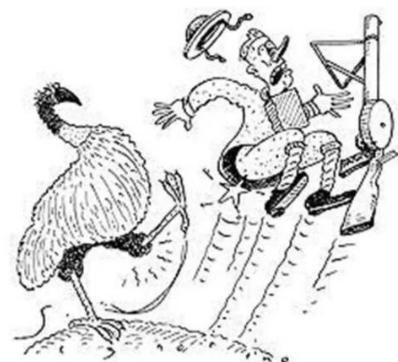 鸸鹋战争&mdash;&mdash;人类史上最耻辱的战争