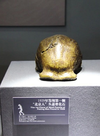 北京人：五十万年前人类的祖先