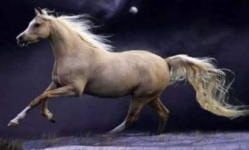 刘备选的卢马为坐骑的真正原因是什么